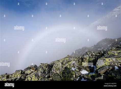 Weiße Regenbogen